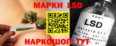 шишки Берёзовский