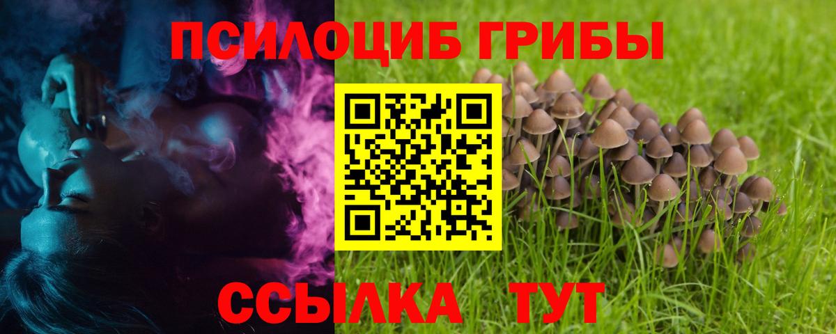 Псилоцибиновые грибы мухоморы Иваново