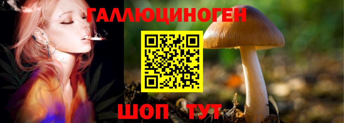 Иваново  Галлюциногенные грибы MAGIC MUSHROOMS  Вход с VPN  Галлюциногенные грибы Psilocybine cubensis 